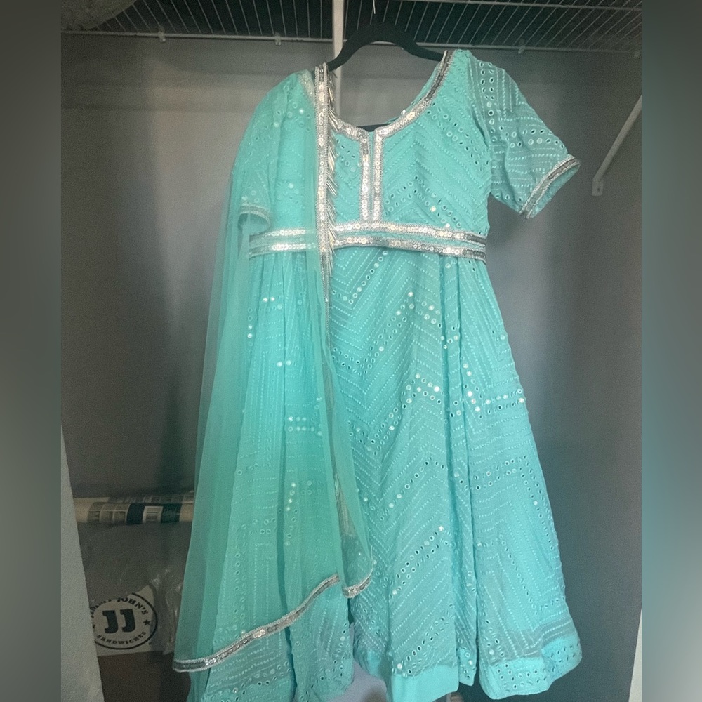 Gorgeous Indian/ pakistani lehenga